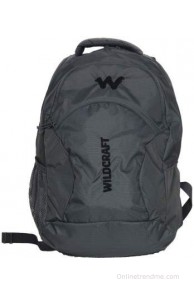 Wildcraft 15 inch Laptop Backpack(Grey)